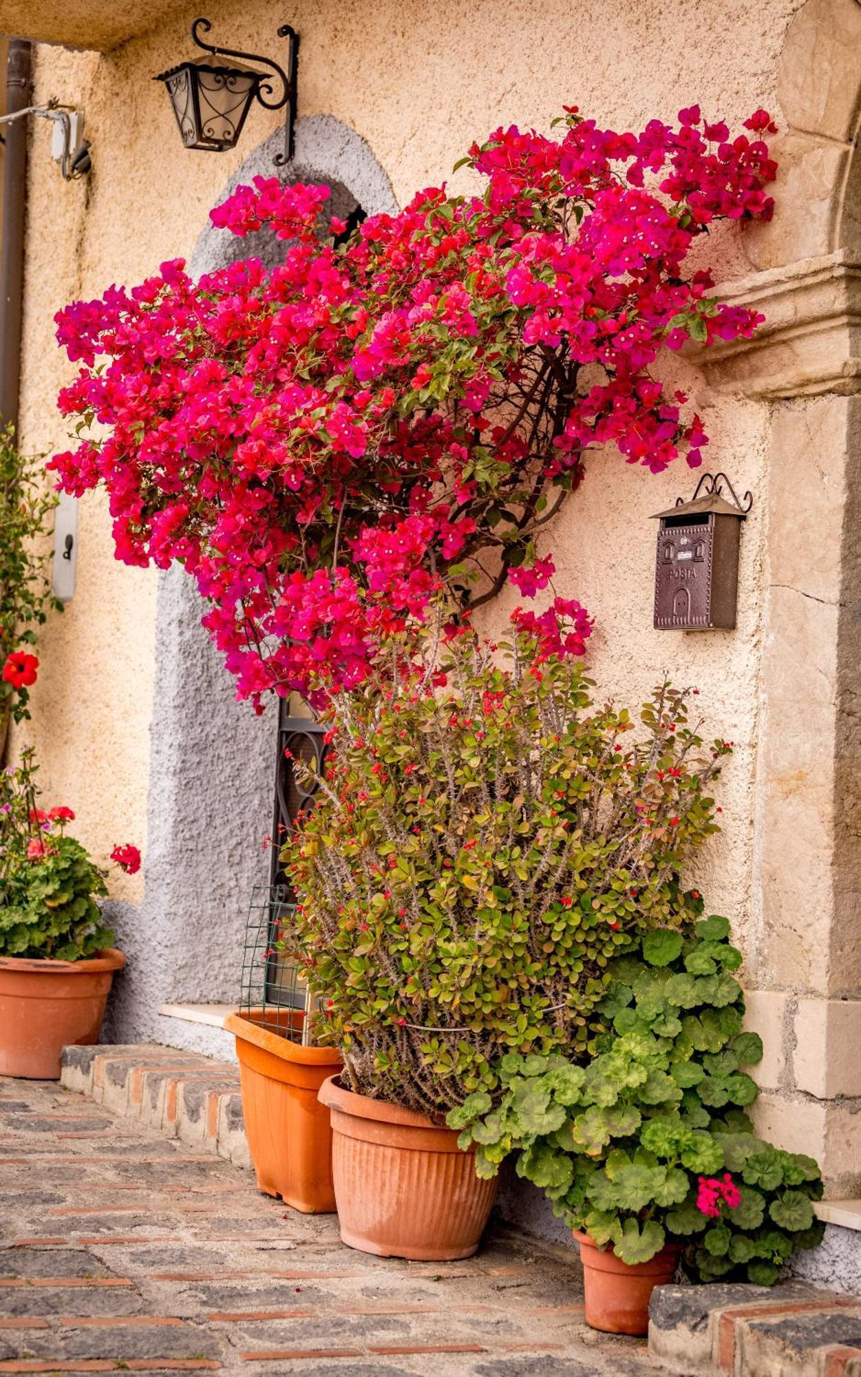 Casa Dei Fiori Con La Vista A Taormina Apartment Schiso